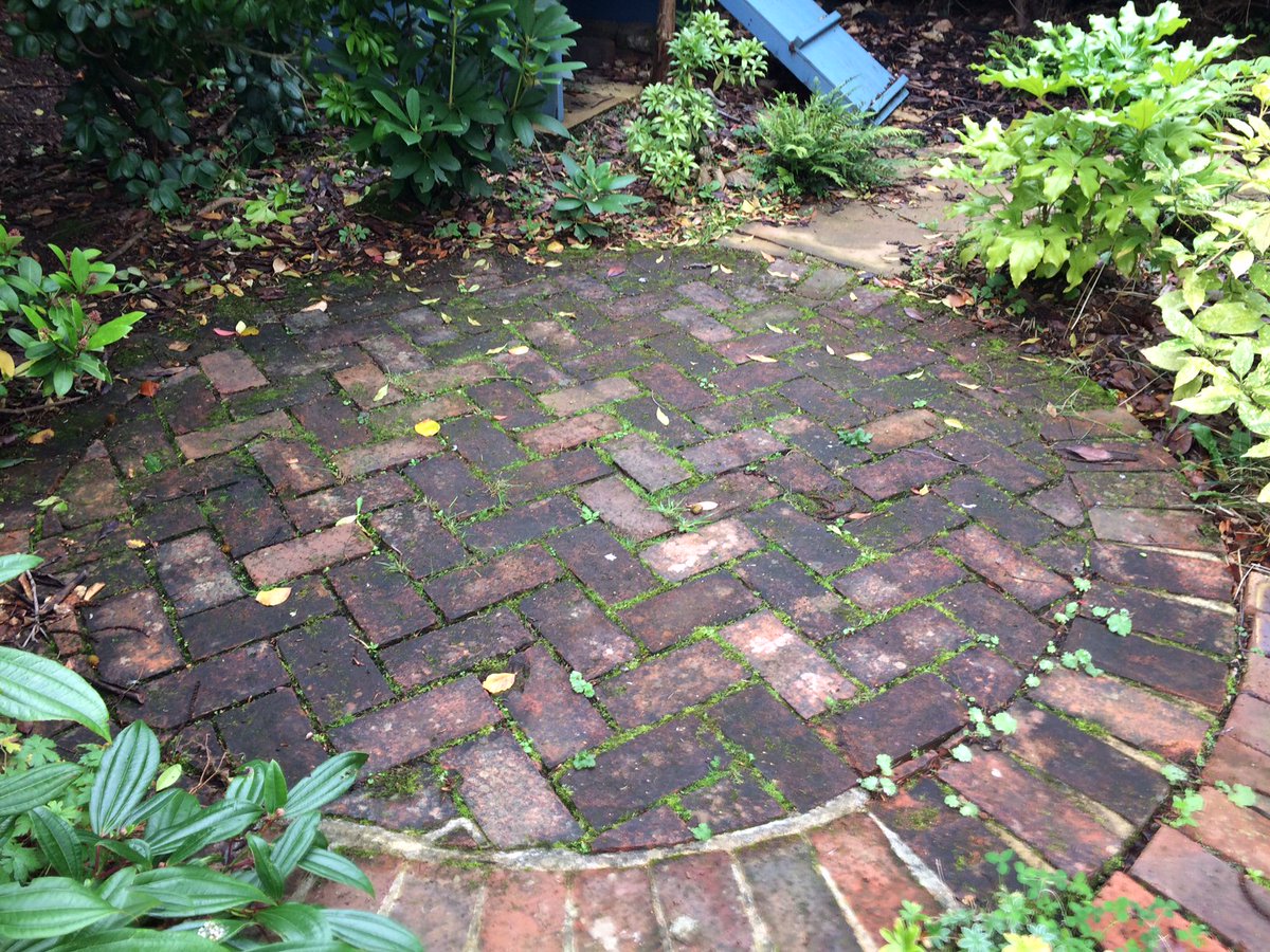 What does this look like to you? It looks like an ice rink to us. Algae on surfaces can cause a serious slipping hazard particularly during the autumn/winter months. Let us clean it off and keep you safe!