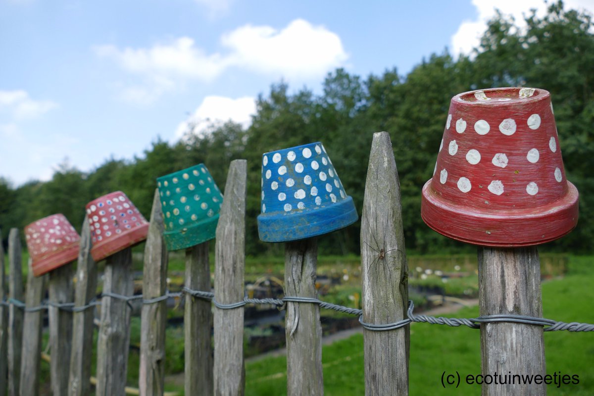 Ecotuintweetjes's tweet photo. Wat hooi in een kleine terracotta pot
bezorgt aan de oorworm een heel cosy kot

#ecotuin #tuin #eindtermen #insecten #natuur https://t.co/YLDRQS9hQI