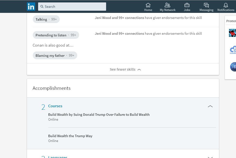 robertBhalla95's tweet photo. Even the linkedin profile of @ConanOBrien  is hilarious!!! https://t.co/U8orlV6FWh