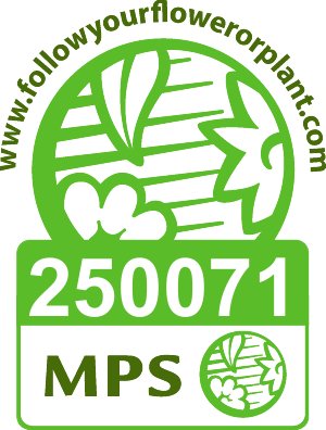 Met gepaste trots melden wij dat we sinds afgelopen maandag MPS-A+ gecertificeerd zijn! <a href="/MPSCert/">MPS Group</a> #duurzaamheid