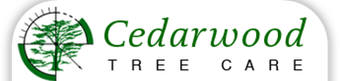 Have a read about Cedarwood Tree Care Services 
#CTC 
#TreeExpert  
#TreeReport  

buff.ly/2xVCts6