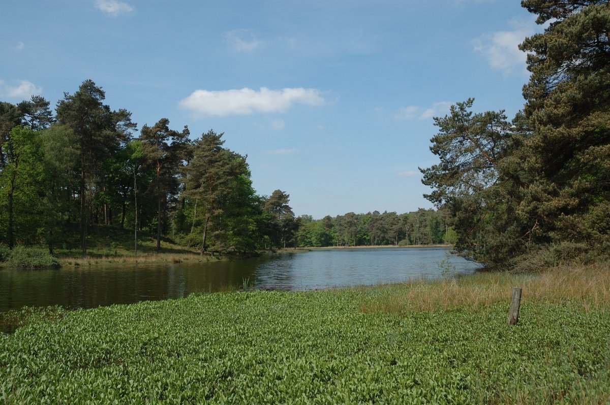 BiostationWesel's tweet photo. Was gibt es Neues aus unserem Wald? Lesen Sie hier: https://t.co/e6IzTHWBLS #wesel #wald #natur #eichenwald #naturschutz #großprojekt https://t.co/mLNuyRvNvU