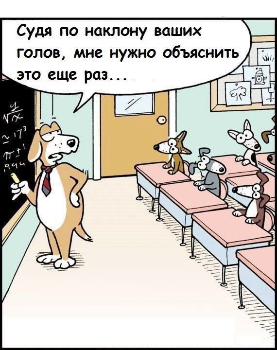 Про собачек (@porrroda) on Twitter photo 