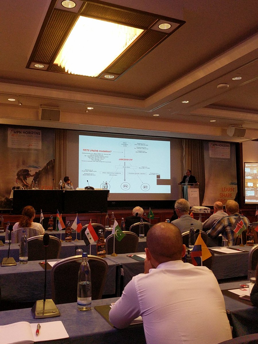 Does Tet2 mutation before Jak2? The order it happens determines if it is PV or ET! ...Dr. Martin Ellis. #mpnhz17