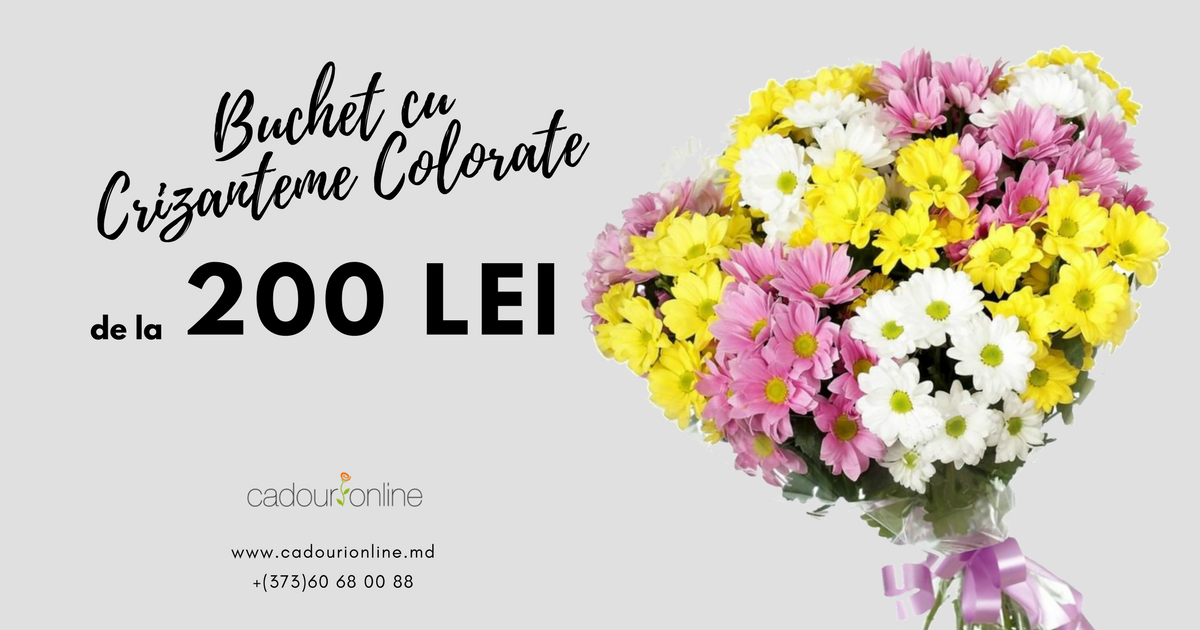 CadouriMd's tweet photo. 💚 Curieri politicoși și eleganți
💞 Livrăm în toată Moldova
💝 Lucrăm 24/24
🛒 Comandă acum:
➡ https://t.co/YdOdlE0duC
➡ +(373)60 68 00 88 https://t.co/jZ895d0UPi