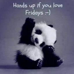 WomenthatConnec's tweet photo. Happy Friday everyone 😀 #weekendroundthecorner 😀 https://t.co/OVHcDorncf