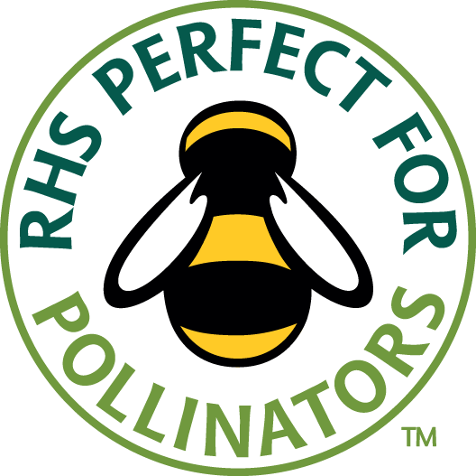 foenorwich's tweet photo. Still time to sow #wildflower seeds for a fine show next spring. Help birds, bees &amp; all manor of wildlife! #beecause #savebees #pollinators https://t.co/3XNOFMc355