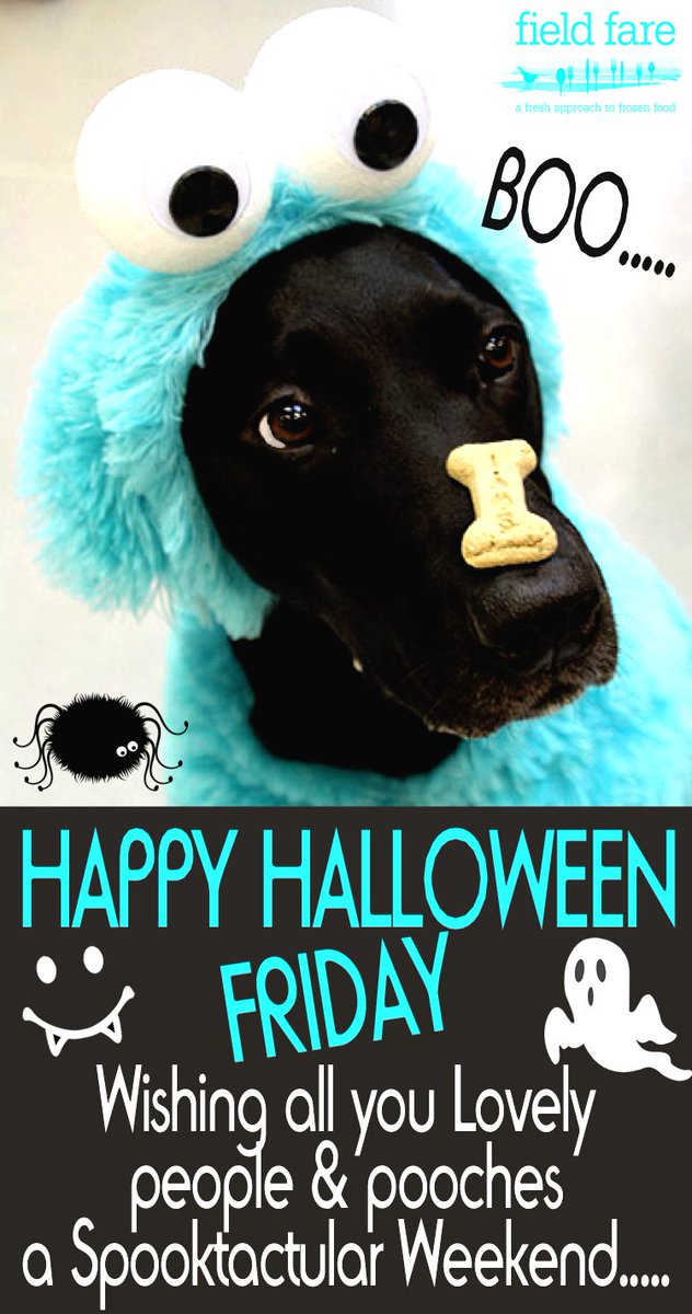 #FF Have a great weekend lovely people &amp; pooches 🐾🎃 @Wellybix <a href="/Woofbed/">WoofBed.co.uk Where Dogs Sleep Better</a> @PoochAndCo <a href="/keegansknines/">Keegan-Knines</a> <a href="/dotty4paws/">Dotty4Paws</a>