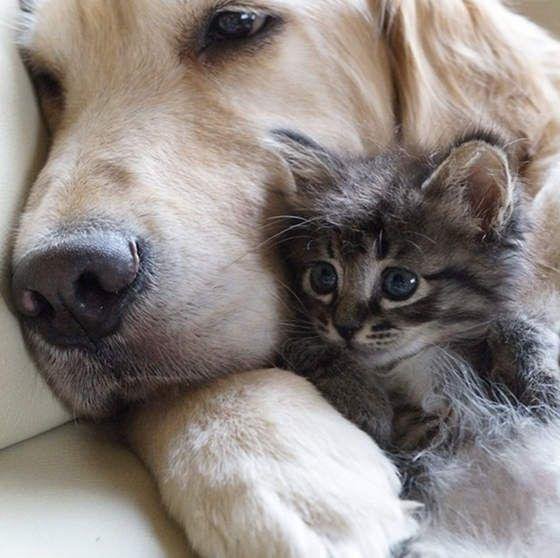 miriam71514894's tweet photo. #AcomeAncora
L'amicizia 
Che ci lega dura
Nel tempo 
Con affetto sempre....!!!💕 https://t.co/AqpiQ81Msq