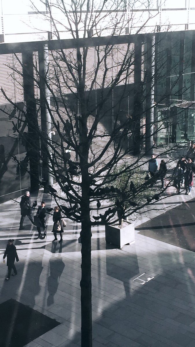 The Ravens are up in <a href="/Spinningfields/">Spinningfields</a>  - #Halloween2017 🦇🎃Birds Eye View  👻