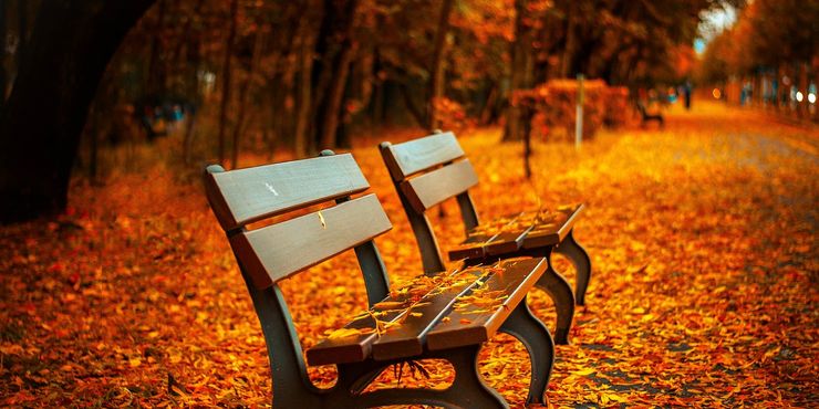 n_tagliafierro's tweet photo. Da Nord a Sud: 8 #boschi meravigliosi da scoprire!😍🍂🍁 #weekend #relax #meravigliosaitalia #autunno #27ottobre 
https://t.co/K3upOymdnT https://t.co/v3NM9vg8bn