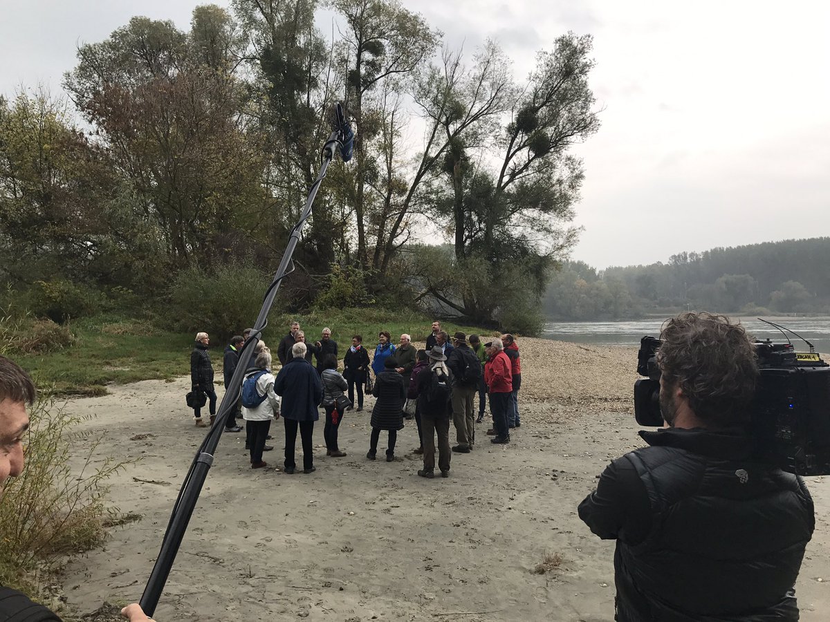 RuegerTill's tweet photo. Besuch aus #Neuburg #Schrobenhausen im #Nationalpark Donau-Auen bei Wien. Wie könnte ein Nationalpark #Donauregion in #Bayern funktionieren? https://t.co/vM8euZJIy7