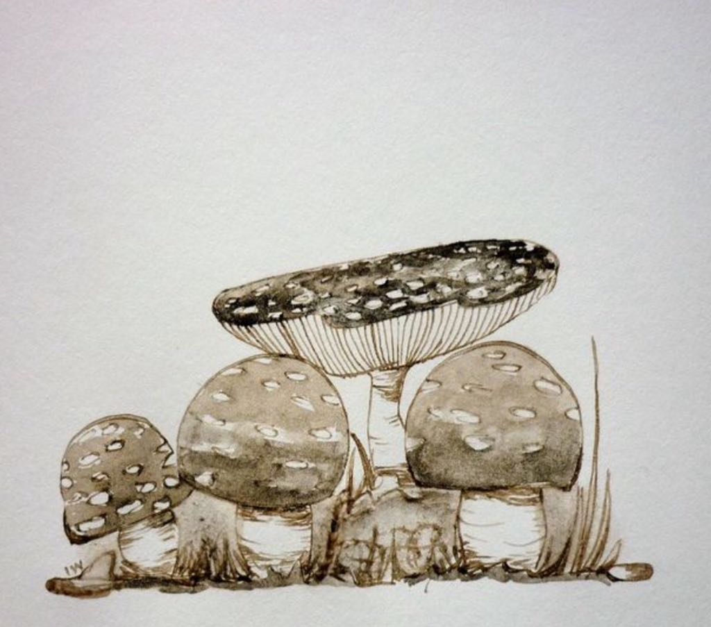 De winnaars vd #inktzwamchallenge zijn: <a href="/olafontdekt/">Roy</a> <a href="/sandrawestgeest/">sandra westgeest</a> @Schrijvertje3 🍄🏆🎉. Bekijk alles: bit.ly/2yPItl1 #Inktober