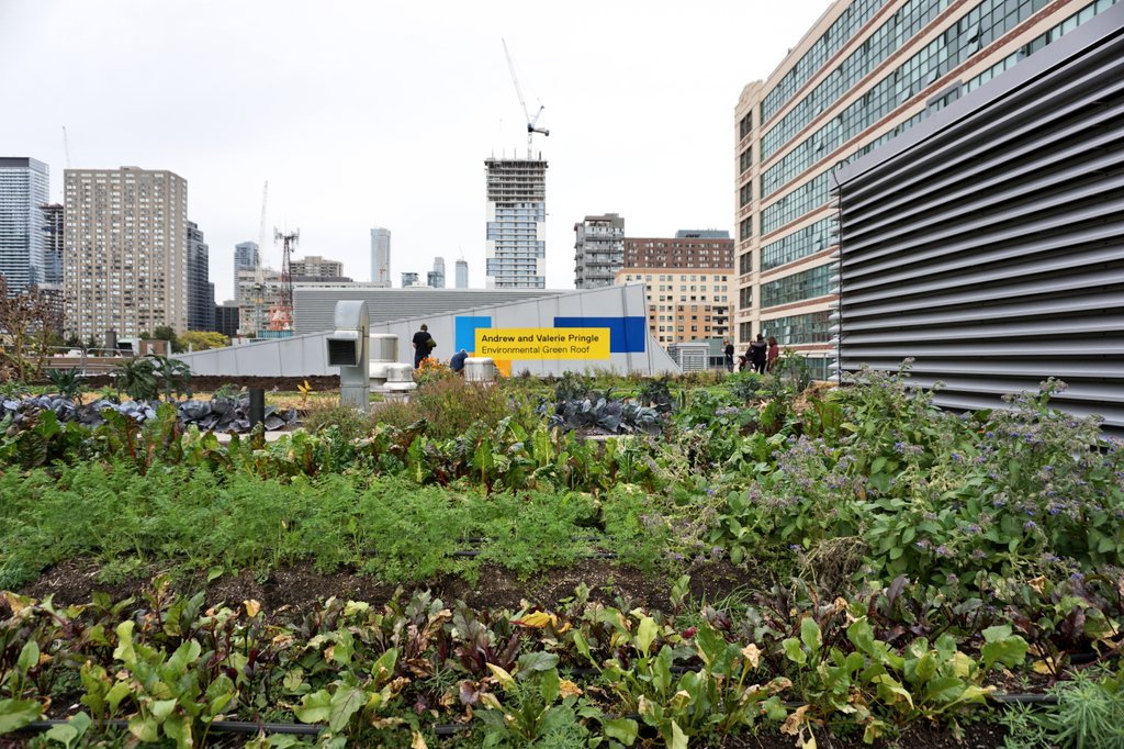 joshuawise's tweet photo. Checking out Ryerson's urban farm 5 floors above Church and Gould. Thanks for the tour @RUUrbanFarm! https://t.co/Zcn2Vbumlb