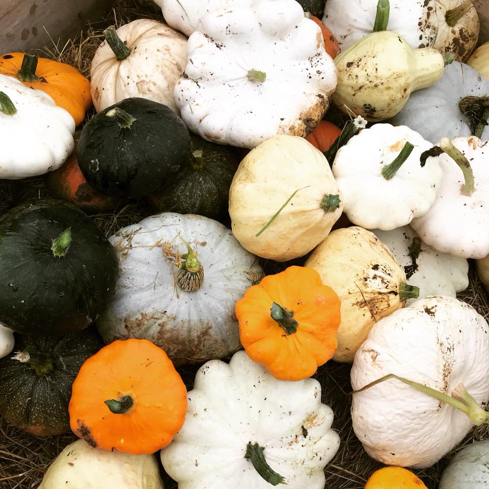 Some chic ideas for pumpkin carving this weekend from <a href="/NatashaSherling/">Natasha Sherling</a> <a href="/AlrightPumpkin/">Alright Pumpkin</a> ... bit.ly/2xanU1d