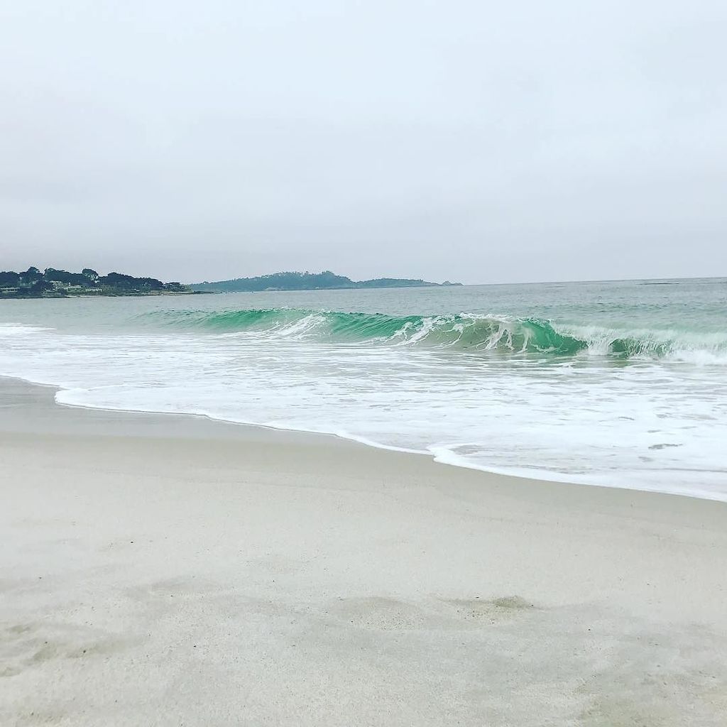 VisitCarmel's tweet photo. Beach vibes are what Carmel-by-the-Sea is all about!⠀
.⠀
#myheaven #zenith #peakingwave #waveinmotion #stillbyhear… https://t.co/o7MuNFnAX5 https://t.co/XR0Mw5QQx4