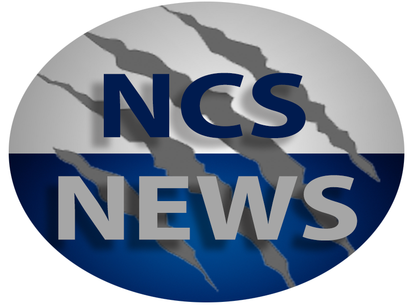 NativityCS's tweet image. Read about #Nfest17 sales, our School Advisory Committee, canned food drive and more! conta.cc/2gKSWcT