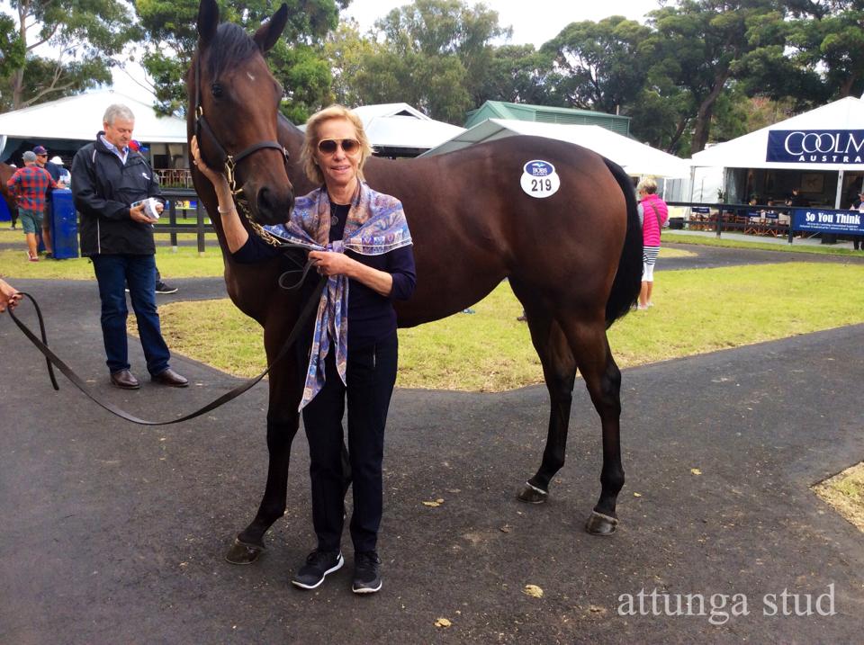 attungastud's tweet photo. "Welcome back to the races girl" the attunga bred/Inglis grad SERENE MISS (Northern Meteor/Tactfully) salutes at Scone. Mare is now 2 from 2 https://t.co/w7hjPBMH0U