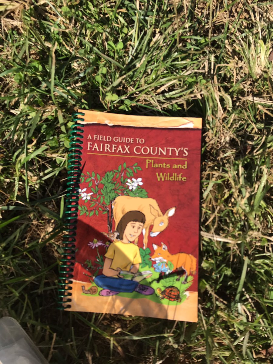 AP_Wayland's tweet photo. 4th graders are learning about habitats! We're exploring and observing our schoolyard to see if it's a habitat to plants & animals and what plants and animals use our schoolyard as a habitat #science #exploringandobserving #learningoutsideisfun π€π©π»βπ¬π¨π½βπ¬@SHES_Dolphins https://t.co/AjOsDOLAey