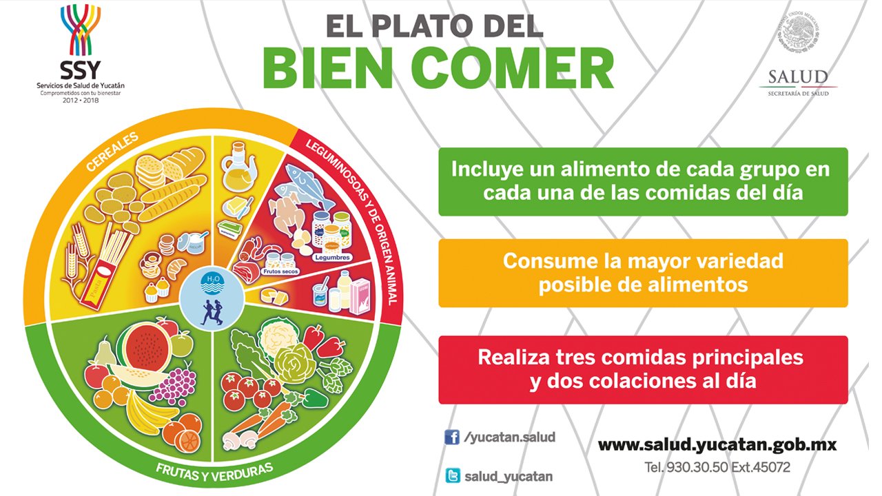 Que debe contener un plato saludable