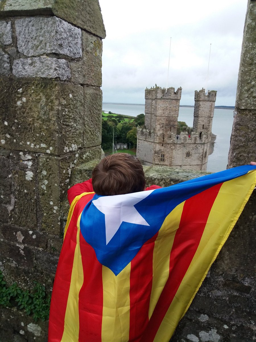 ARTEM_KLYUSHIN's tweet image. These for you, so small and young
In your hand and heart and tongue
Thomas Macdonagh
Visca la República Catalana 👍

#RepublicaCatalana