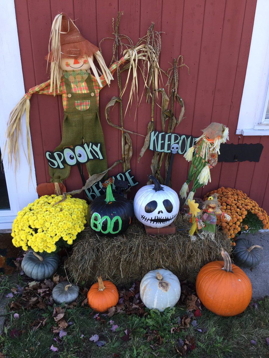 LHTC Pumpkin picking at Ox Hollow Farm🎃