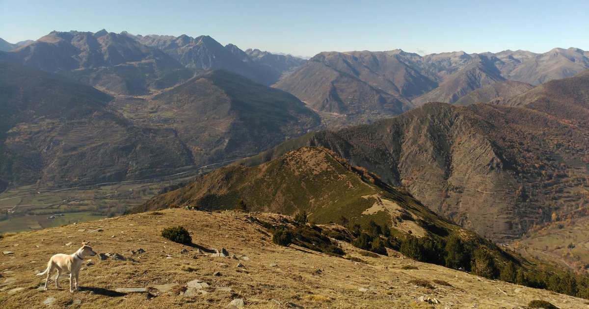 Valls d'Àneu desde el Montalto. 14:56. Vent i primers núvols per l'oest #324eltemps <a href="/pallarsdigital/">Pallars Digital</a>  <a href="/Vallsdaneu/">Turisme Valls d'Àneu</a> <a href="/meteopsobira/">Compte no operatiu</a>