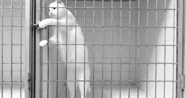 dramatic_german's tweet image. Hey bring mich weg, denn dieser Ort macht es mir schwer zu bleiben เฮ้พาฉันออกไปที ที่นี่มันอยู่ยากเกินไป