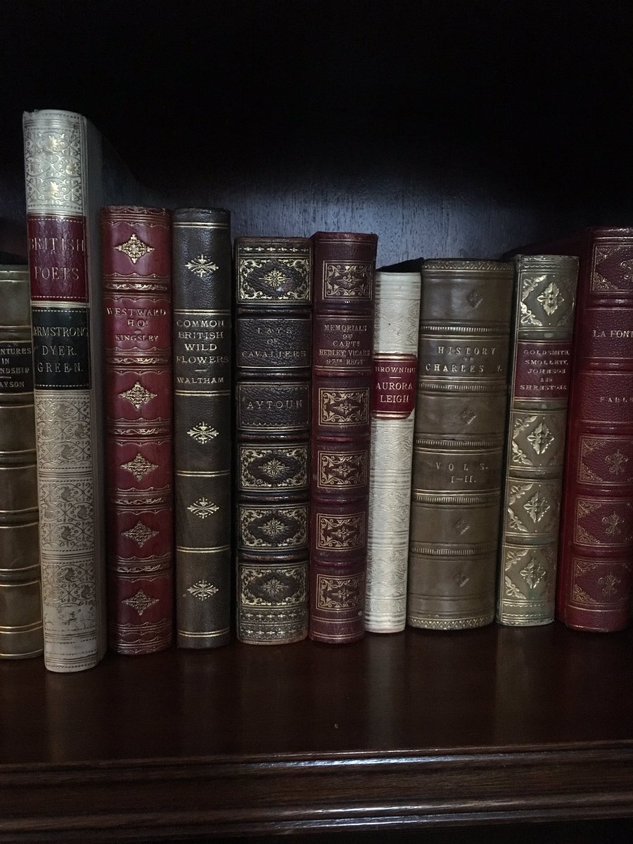 Rookebooks's tweet photo. Happy #finebindingfriday! https://t.co/0tRWw5vJz2