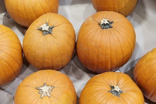 AviBanarus's tweet photo. Recognise any of our 5 business bogeymen? Fear not. We're on hand this Halloween to banish them for good: https://t.co/chN4qFmSvU https://t.co/TqPro2cNSz