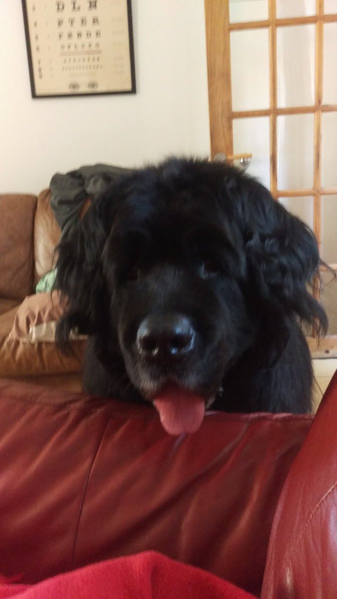 Harrison Food (OTRB) 🌈 tweet media