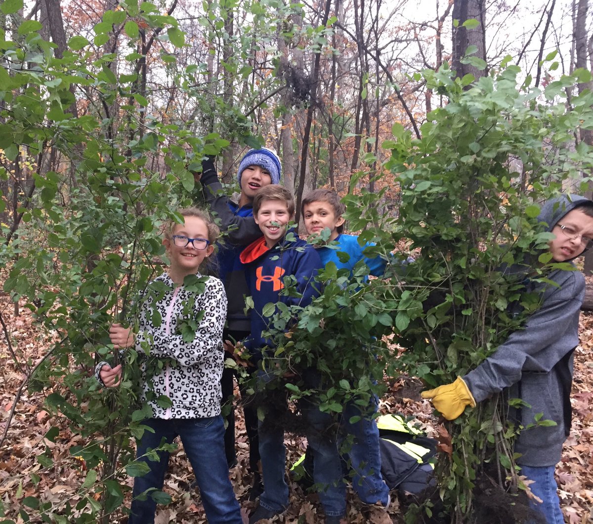 Bye-bye buckthorn! Earthlings help clear this invasive from the school forest. #WeArePLSAS