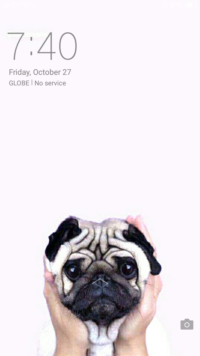 troublxsome's tweet photo. Look how cute these wallpapers are. Credits to the owner✌✌✌ #PugForLife @itsdougthepug https://t.co/DA4JGeRq7p