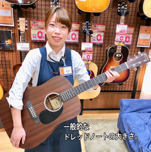 Martin Dreadnought Jr アコースティックギター ケース付き ドレッドノートジュニアの専用ケースに困っている人に吉報！！