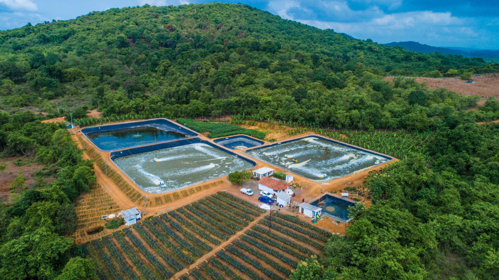 Texel Industries Ltd on Twitter "Aquaculture ponds lined with Texel