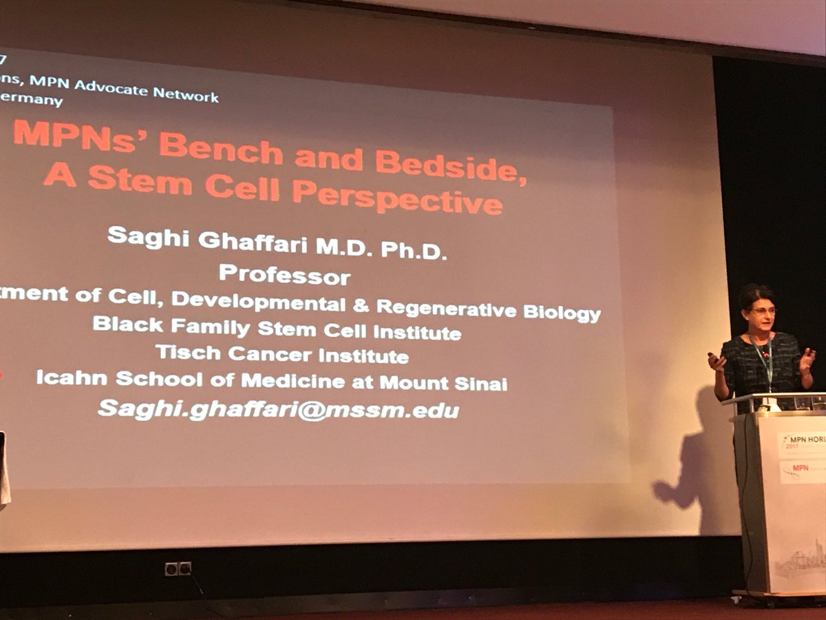 Dr. Saghi Ghaffari talking about the aging of stemcells #MPNHZ2017
