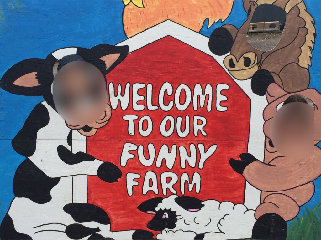 STSJuniorClass's tweet photo. Fun times at Proulx Farm! #ThisIsHowWeSel #PositiveMemories @MarkWiebster @AyeshaFreeman81 https://t.co/L1HMUZnIXN