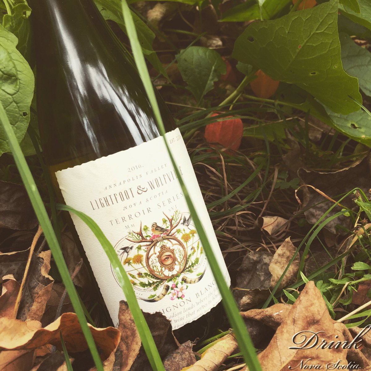 New entry to Terroir Series!
Cool climate Sauvignon Blanc
#drinkns #nswine #coolclimate #visitnovascotia