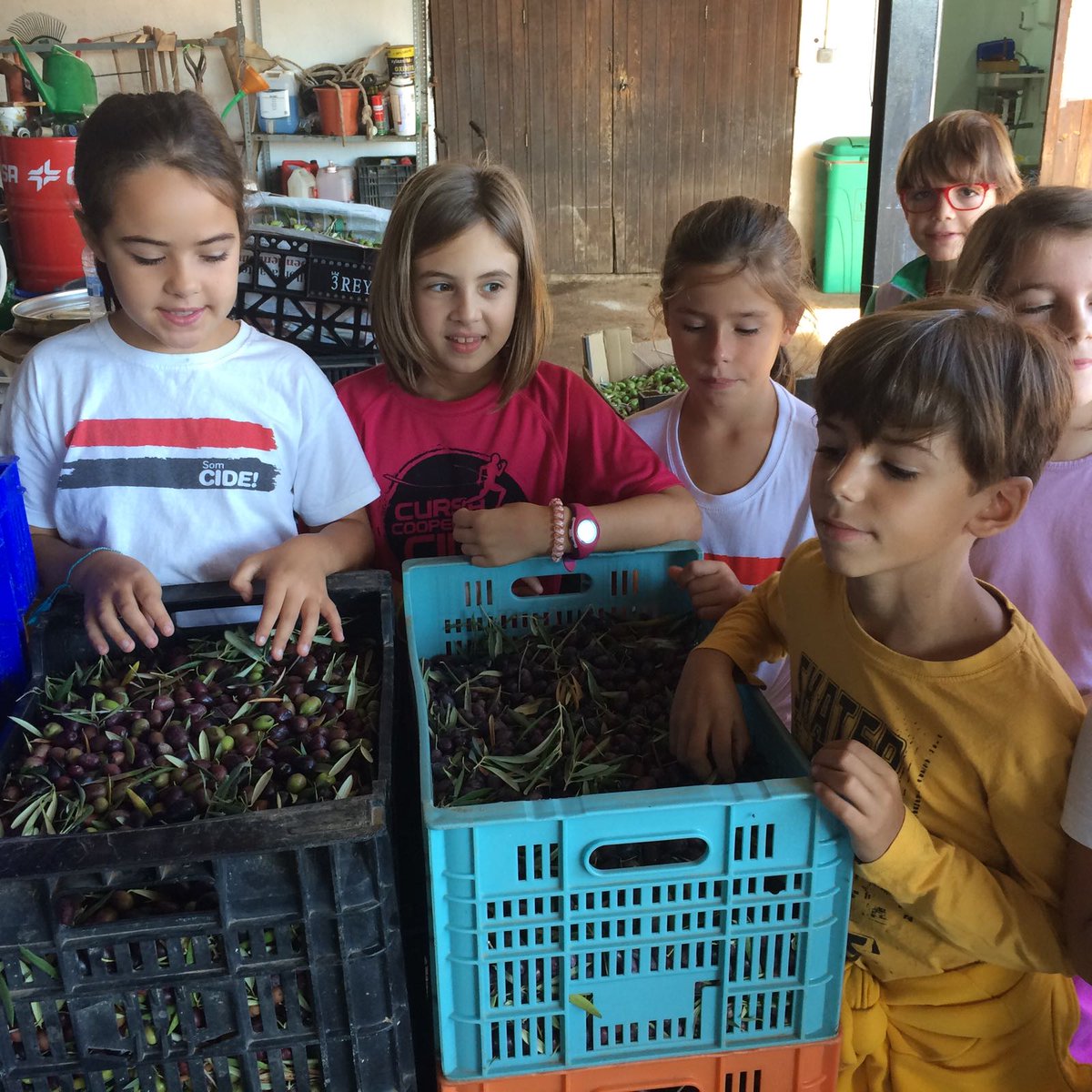 cide1966's tweet photo. Tenim noves fotos de la visita dels alumnes de 3r de Primària a la tafona d'Alaró. #oli #olives https://t.co/4ECCCd9N0B