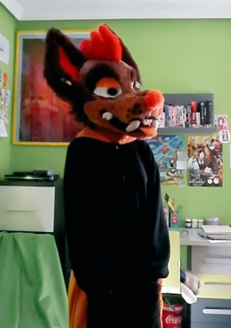 Gabirorojas's tweet photo. KIGURUMI TIME!!!
#japon #kigurumi #anime #mapache #kawaii #pandarojo #furry #anzous #cute https://t.co/FGZDcQaJZ9