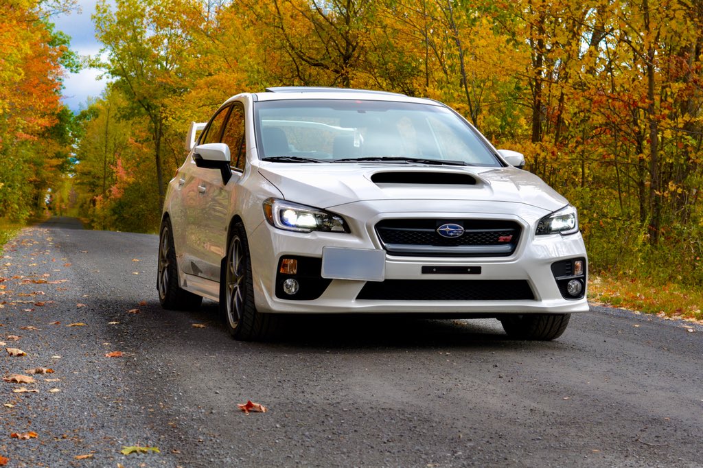 kate_boost's tweet photo. @subaru_usa Rosa ❤️ https://t.co/6yLRsLt4NX