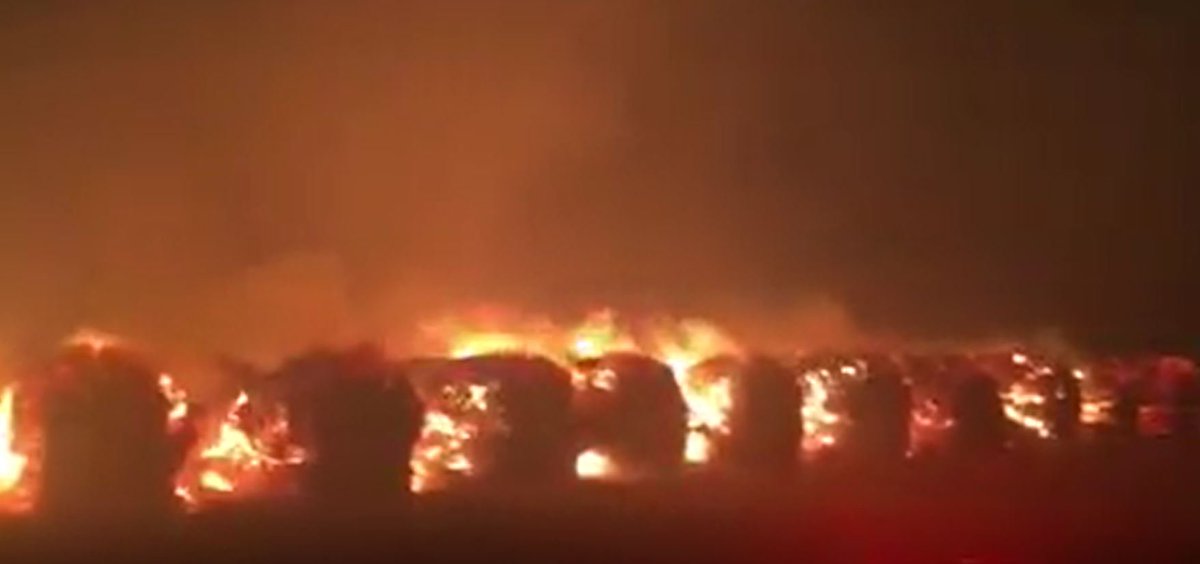 KTXS_News's tweet image. #breaking Firefighters battling large fire at Roscoe cotton gin, hundreds of bales on fire ktxs.com/646682620