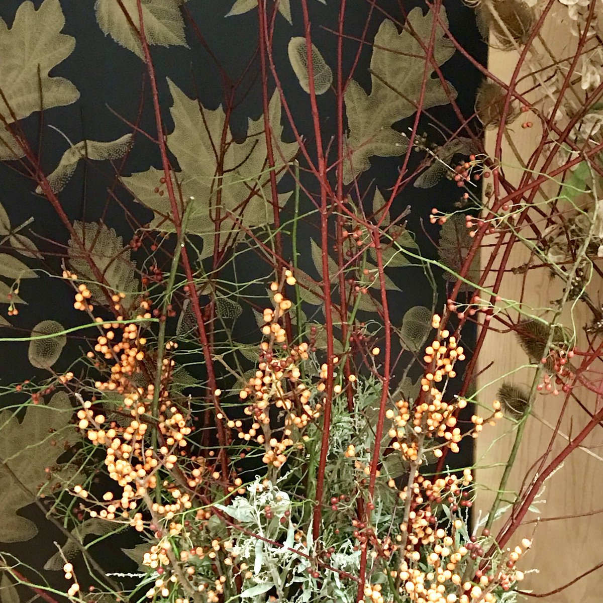 Savemeimwild's tweet photo. Shades of autumn @The_RHS #AutumnGardenShow #Lindleyhall #lawrencehall #RHSLondon #autumn @Permaculture_UK @GardenerFuture @WildintheCity1 https://t.co/XneSny6Jjv