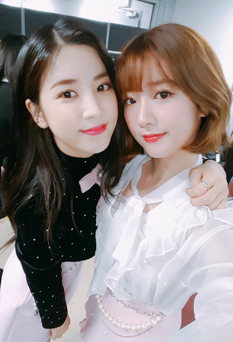 Apink_2011's tweet photo. [#에이핑크]  롱롱이와 뽀미가 정글에 떴다😎
험난한 정글에서도 톡톡 튀는 매력과 남다른 활약으로 정글을 접수한 현장!
잠시후10시 SBS #정글의 법칙 에서 확인해주세요🙌🏻

#Apink #박초롱 #윤보미 #본방사수할_🐼_여기여기_붙어라 https://t.co/EWe9XDxBve