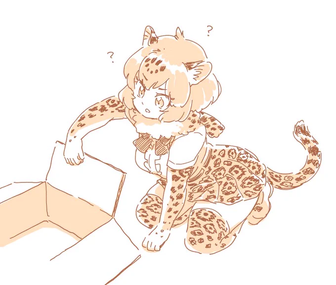 JAGUAR LIKES BOXES TOO? 