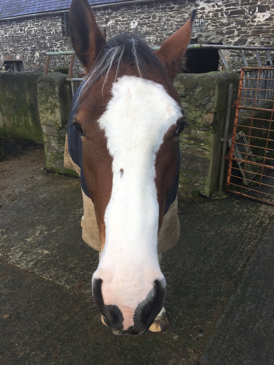 Why the long face?! It’s Friday! 😁