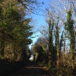 Good fun and beautiful scenery during the @Coola_PPS sponsored walk today @PDST_Hwellbeing @PEAI_IRELAND @Physicaliteracy @SligoWalks 