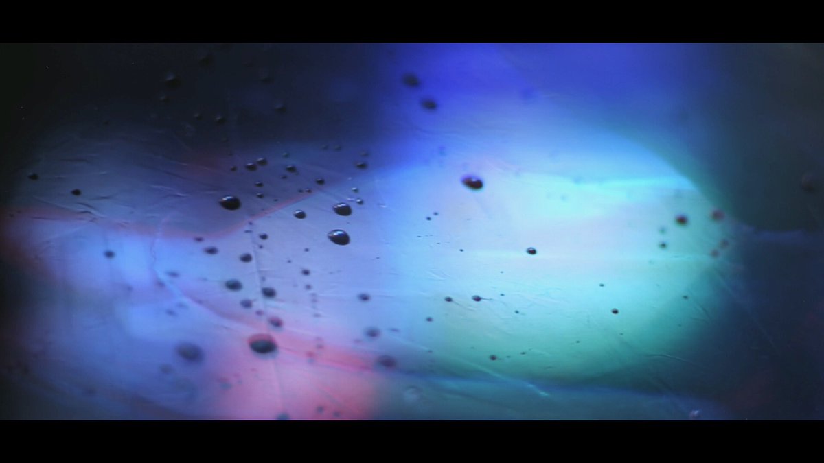 Pennacky tweet media