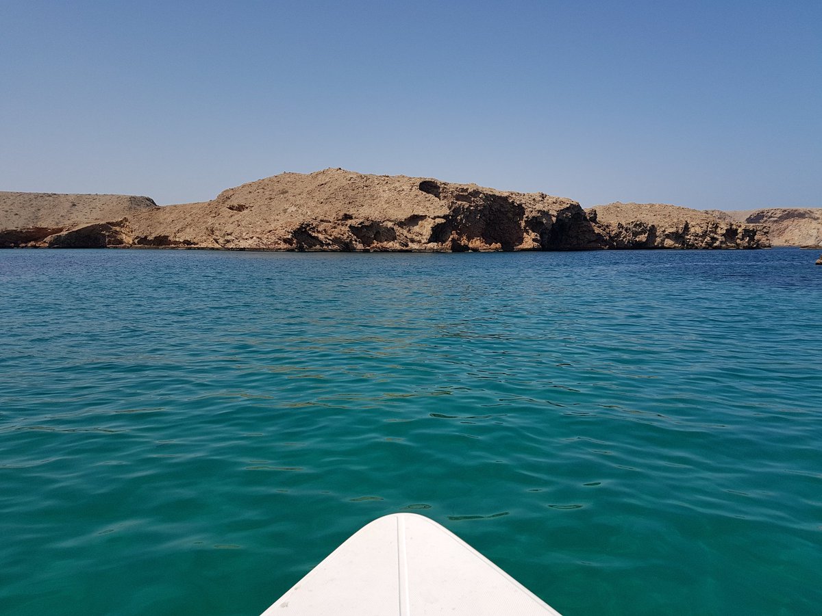 charlesallen15's tweet photo. Absolutely awesome morning diving 👌🐠❤😊 #Oman2017 https://t.co/MhP1WGUOgU