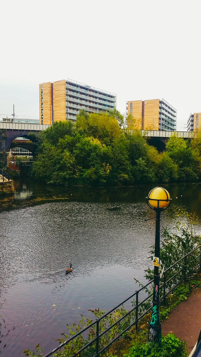 manutripsblog's tweet photo. #Manchester 😍 #manutrips #Travel #TravelTuesday #travelers #travelblogger #TravelBlog #traveling #Traveller #traveltips #PictureOfTheDay https://t.co/7b4rhA4zm3